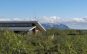 Birkilauf